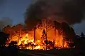 Waldbrand