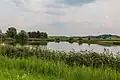 Rohlíčky