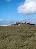 Naturschutzgebiet Baakdeel-Rantum/Sylt, Blick zum Sölring Hof