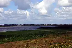 Blick über den Ringkøbing Fjord auf Søndervig