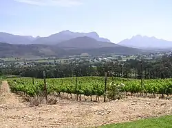 Das Tal von Franschhoek