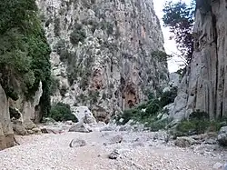 S’Entreforc aus dem Torrent de Lluc