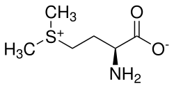 Strukturformel von S-Methylmethionin