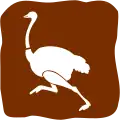 A12-6: Straußenzucht*