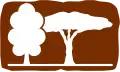 A4-9: Wald (natürlich gewachsen)*