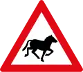 W311: Viehtrieb – Pferde