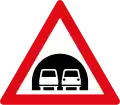 W319: Tunnel*