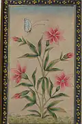 Vijay Sharma, Floral design