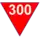 Súper Expreso 300