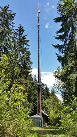 Bild des Objektes