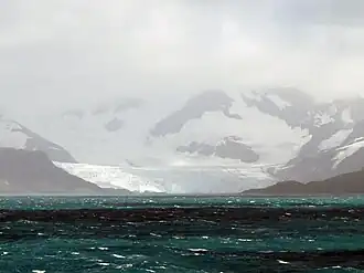 Mündung des Crean-Gletschers in die Antarctic Bay