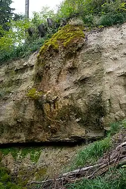 Einschnitt im Eigentobel durch die Molasse nordöstlich von Römerswil