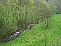Blick ins Trusetal