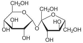 Saccharose