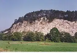 1989
