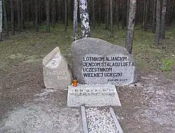 Ende des Tunnels Harry 10 Meter vor dem Wald