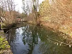 Sagiweiher