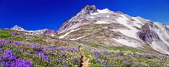 Ein Arm des Sahale Mountain unterhalb des Gipfels