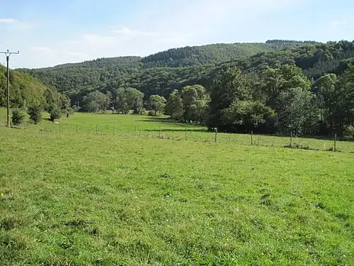 Das südliche Sahrbachtal