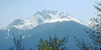 Saile von Nordwesten (Zirl). Links die Pfriemeswand, vorgelagert das Birgitzköpfl