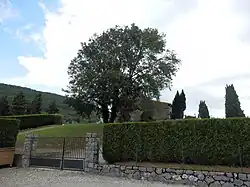 Foto einer Kirche