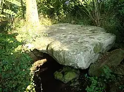 Palet de Gargantua
