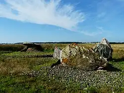Dolmen 2 Pierre levée