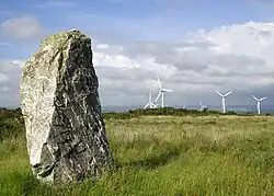 Menhir von St Breock Downs