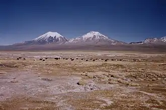 Pomerape (rechts) und Parinacota (links).
