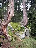 Fundament des Berings im SE