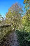 Basteiweg am Kapuzinerberg