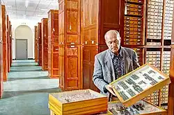 Sammlungen der Senckenberg Gesellschaft Foto Senckenberg