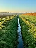 Sandbach in der Tiergartenheide