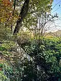 Sandbach am Wolbecker Tiergarten
