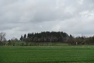 Sandesberg aus südlicher Richtung gesehen