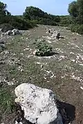 Sitjots