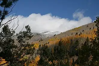 Der National Forest im Herbst
