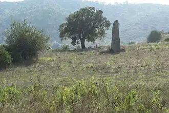 Menhir vor Tortoli