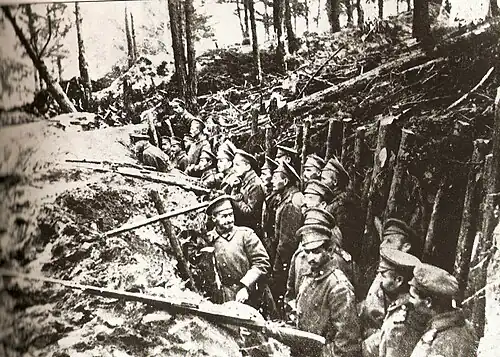 Die russische Kaukasusarmee bei Sarıkamış 1914