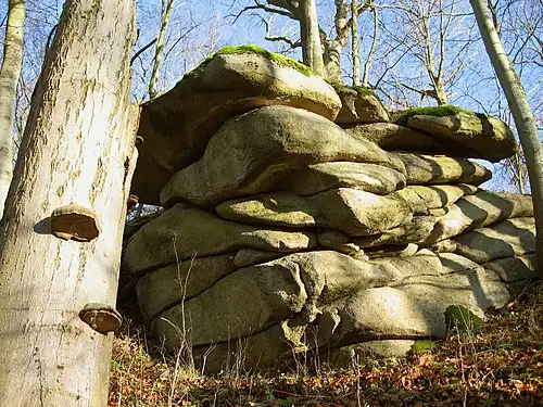 Sattelpeilnstein Schlossberg