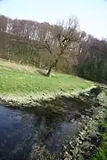 Sauertal – nördlich von Ebbinghausen