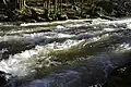 Der Saut du Chalard in der Dronne bei Champs-Romain