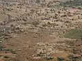Trockensavannen­landschaft westlich von Ouagadougou
