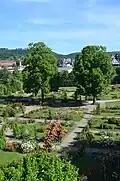 Impressionen aus dem Rosarium