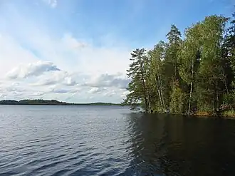 Der See Savojärvi im Nationalpark Kurjenrahka
