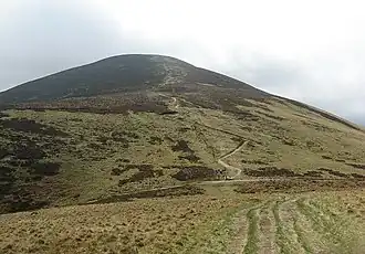 Scald Law