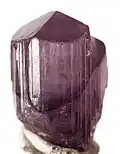Violett (Afghanistan)