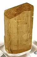 Goldbraun (Tansania)