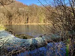 Mühlenteich