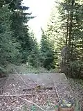 Nordlift: Trasse